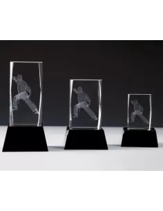 Stiklinė 3D kovos menų statulėlė - Prizai.lt 2
