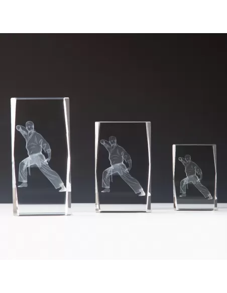 Glass 3D Martial Arts Award - Prizai.lt