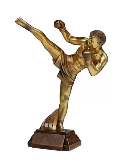 Kickboxing figurine - Prizai.lt