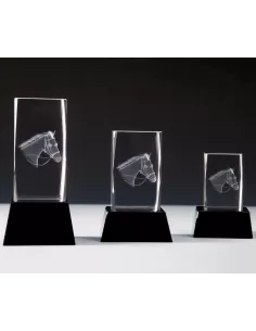 Glass 3D Equestrian Award - Prizai.lt 2