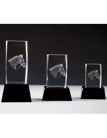 Glass 3D Equestrian Award - Prizai.lt