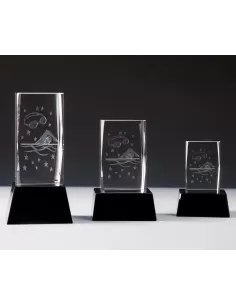 Glass 3D Swimming Award - Prizai.lt 2