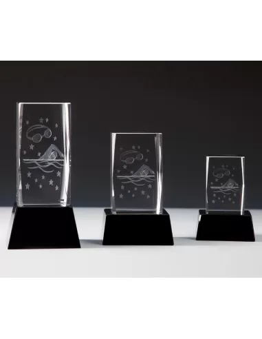 Glass 3D Swimming Award - Prizai.lt