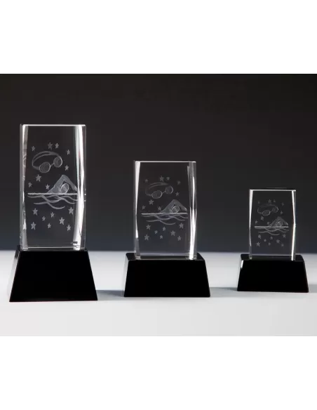 Glass 3D Swimming Award - Prizai.lt