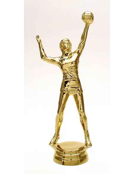 Volleyball figurine - Prizai.lt