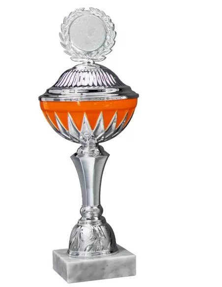 Trophy with cup - Prizai.lt