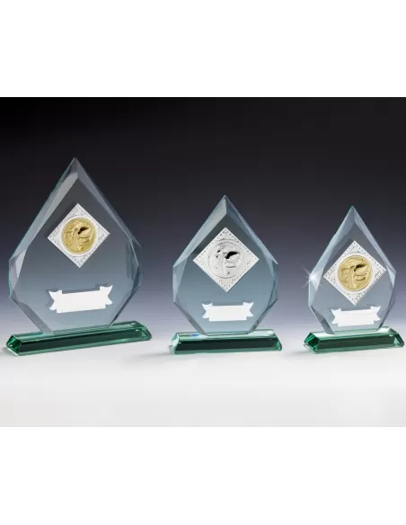 Glass award - Prizai.lt