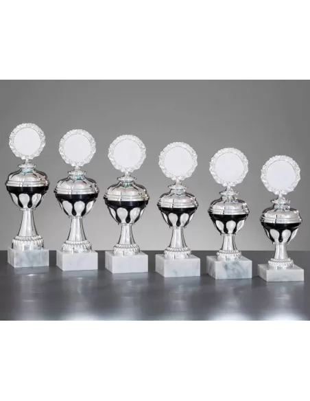 Silver trophy set - Prizai.lt