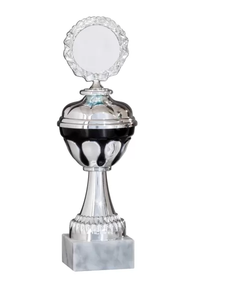 Silver trophy set - Prizai.lt