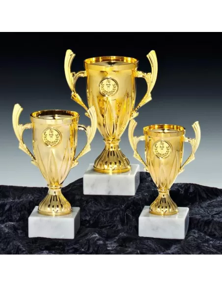 Trophy set - Prizai.lt