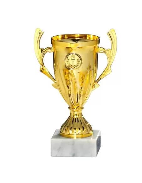 Trophy set - Prizai.lt