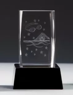 Glass 3D Swimming Award - Prizai.lt