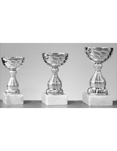 Trophy - Prizai.lt