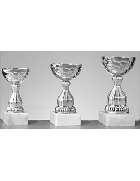 Trophy - Prizai.lt
