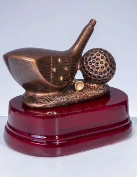 Golf award driver - Prizai.lt