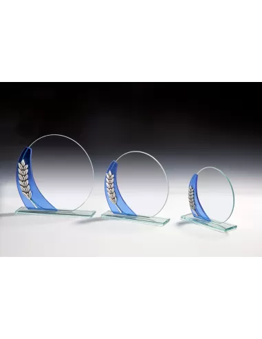 Oval glass trophy - Prizai.lt