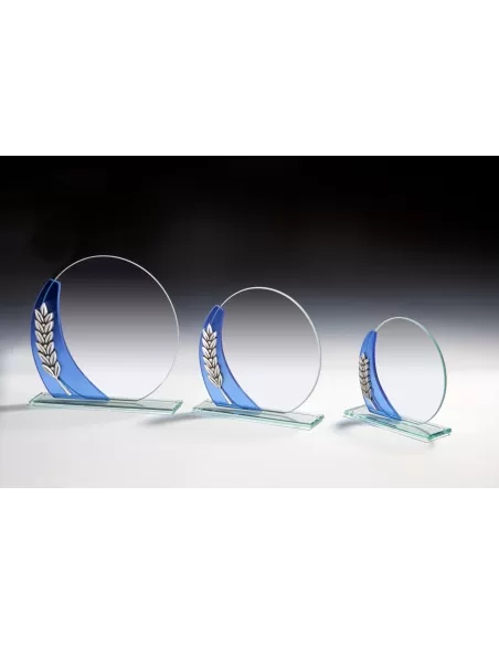 Oval glass trophy - Prizai.lt