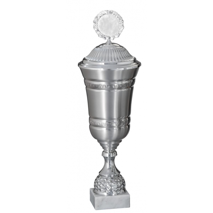 Aluminum trophy with cap